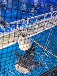 沖縄美ら海水族館に投稿された画像（2025/4/30）