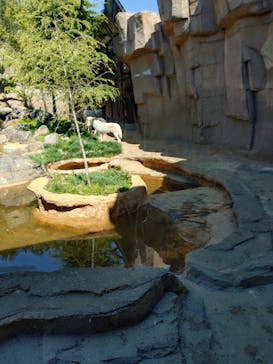 那須どうぶつ王国に投稿された画像（2025/4/30）