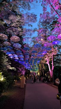 ムーミンバレーパークに投稿された画像（2025/4/30）