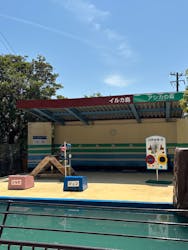 鳥羽湾めぐりとイルカ島に投稿された画像（2025/4/30）