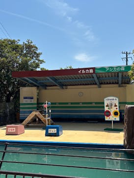 鳥羽湾めぐりとイルカ島に投稿された画像（2025/4/30）