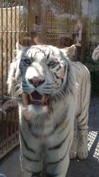 東武動物公園に投稿された画像（2025/4/30）