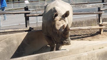 東武動物公園に投稿された画像（2025/4/30）