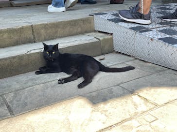 グラバー園に投稿された画像（2025/4/30）