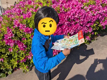 ひらかたパークに投稿された画像（2025/4/30）