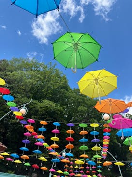 ムーミンバレーパークに投稿された画像（2025/4/30）