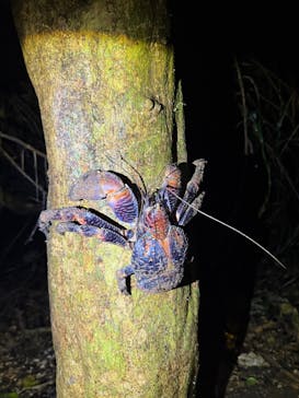 SUNSHINE MARIN 宮古島に投稿された画像（2025/4/30）