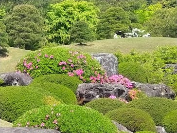 足立美術館に投稿された画像（2025/4/30）