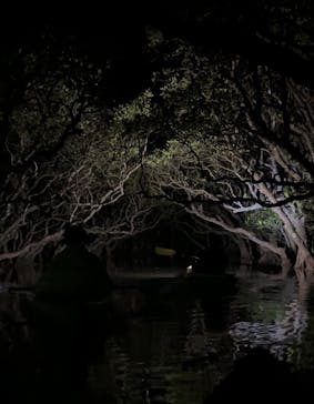 マングローブ茶屋に投稿された画像（2025/4/30）