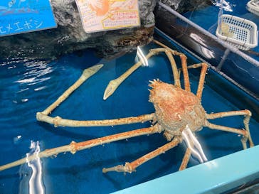 竹島水族館に投稿された画像（2025/4/30）