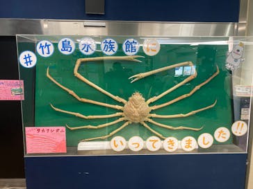 竹島水族館に投稿された画像（2025/4/30）