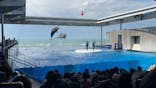 上越市立水族博物館 うみがたりに投稿された画像（2025/5/1）