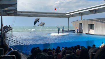上越市立水族博物館 うみがたりに投稿された画像（2025/4/30）