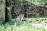 多摩動物公園に投稿された画像（2025/5/1）