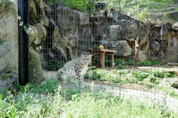 多摩動物公園に投稿された画像（2025/4/30）