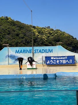 下田海中水族館に投稿された画像（2025/4/30）