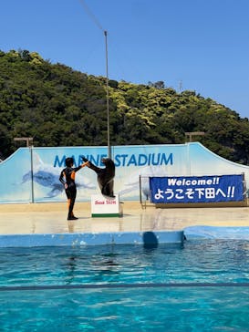 下田海中水族館に投稿された画像（2025/4/30）