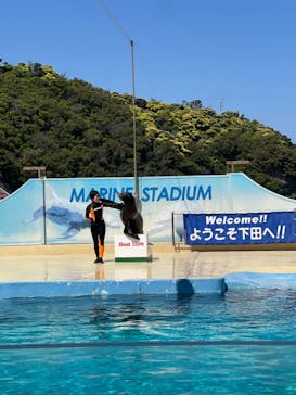 下田海中水族館に投稿された画像（2025/4/30）