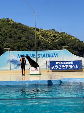 下田海中水族館に投稿された画像（2025/4/30）