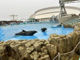 名古屋港水族館に投稿された画像（2025/5/1）