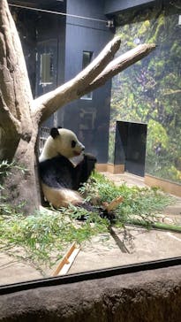 恩賜上野動物園に投稿された画像（2025/5/1）
