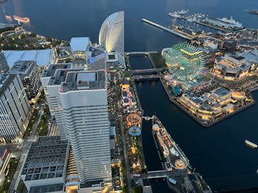 横浜ランドマークタワー 69階展望フロア スカイガーデンに投稿された画像（2025/5/1）