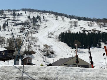 シャルマン火打スキー場に投稿された画像（2025/5/1）