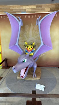 福井県立恐竜博物館に投稿された画像（2025/5/1）