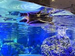 すみだ水族館に投稿された画像（2025/5/1）