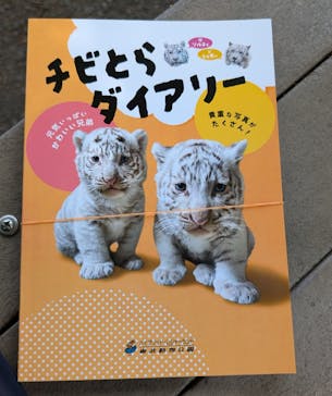 東武動物公園に投稿された画像（2025/5/1）