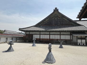 元離宮二条城に投稿された画像（2025/5/1）