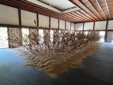 元離宮二条城に投稿された画像（2025/5/1）