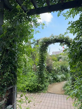 横浜イングリッシュガーデンに投稿された画像（2025/5/1）