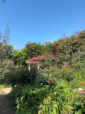 横浜イングリッシュガーデンに投稿された画像（2025/5/1）