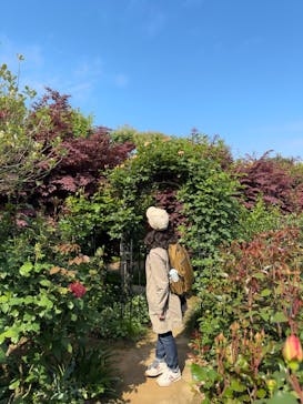 横浜イングリッシュガーデンに投稿された画像（2025/5/1）