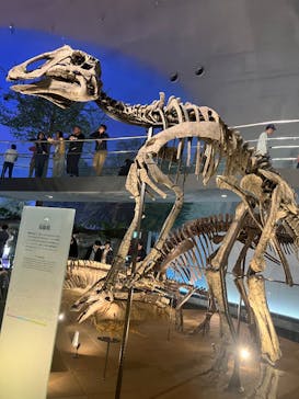 福井県立恐竜博物館に投稿された画像（2025/5/1）