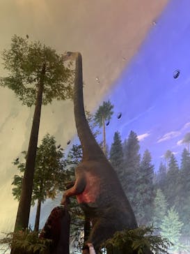 福井県立恐竜博物館に投稿された画像（2025/5/1）