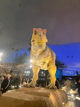 福井県立恐竜博物館に投稿された画像（2025/5/1）