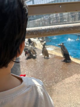 アクアワールド茨城県大洗水族館に投稿された画像（2025/5/1）