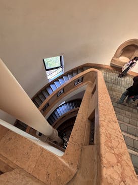 国立科学博物館に投稿された画像（2025/5/1）