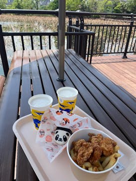 恩賜上野動物園に投稿された画像（2025/5/1）