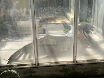 恩賜上野動物園に投稿された画像（2025/5/1）