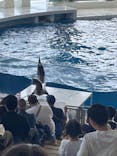 アクアワールド茨城県大洗水族館に投稿された画像（2025/5/1）