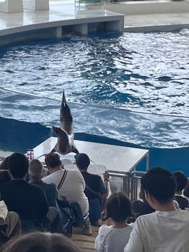 アクアワールド茨城県大洗水族館に投稿された画像（2025/5/1）