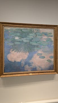 モネ　睡蓮のときに投稿された画像（2025/5/1）