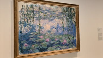 モネ　睡蓮のときに投稿された画像（2025/5/1）