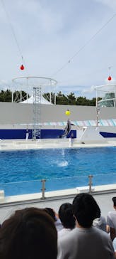 鴨川シーワールドに投稿された画像（2025/5/1）