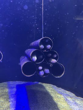 四国水族館に投稿された画像（2025/5/1）