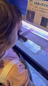 サケのふるさと 千歳水族館に投稿された画像（2025/5/1）