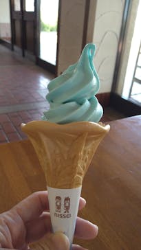 こうべアグリパークネモフィラの丘2025に投稿された画像（2025/5/1）